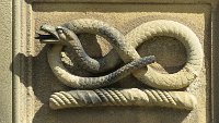 Chatsworth - Snake